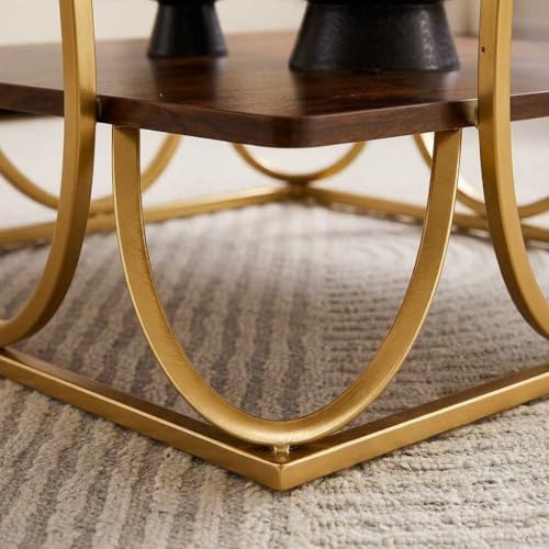 Image of EDEUEQUE Modern Center Table Coffee Table Sofa Side Table for Living Room Cocktail Table End Table with Storage Wooden Tabletop-Marble Print with Metal Frame (Golden Brown)