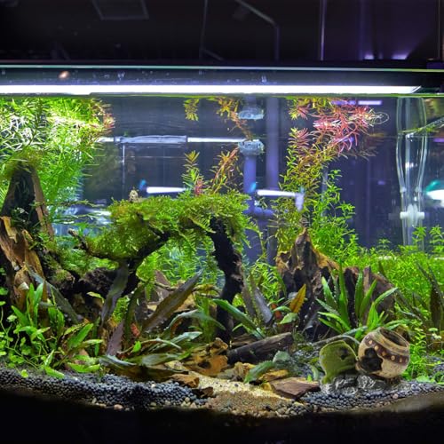 Image of POPETPOP Fish Hiding Cave, Fish Tank Decor Glass Vase Aquarium Ruins Ancient Leaning Vase Rock Broken for Betta Marine Freshwater Fish Tank Decoration