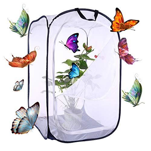 Riva776Yale - Gabbia pieghevole con farfalla e insetto, rete bianca + bordo blu scuro L