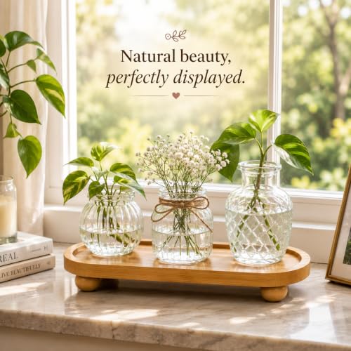 Image of CURATED CART Wooden Display Riser, Pedestal Stand for Bathroom Decor, Kitchen Counter Shelf Spice Rack Organizer, Plant Stand, Display Shelf for Cosmetics (PedaStal-Oval-28CM)