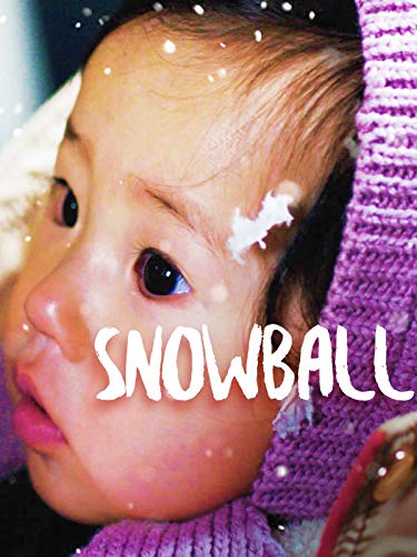Best Usb Snowballs
