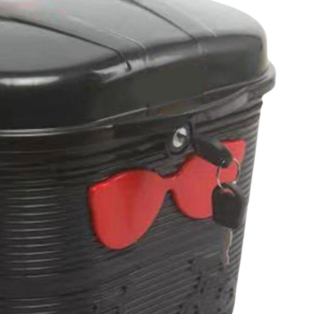 F Fityle Panier Avant de vélo électrique, Support de Chargement de vélo avec Serrure, Installation Facile, Robuste avec Couvercle, boîte de Rangement pour Le