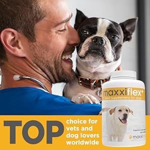   maxxiflex-Hip-Joint-Supplement-for-Adult-Dogs-120-Tablets
