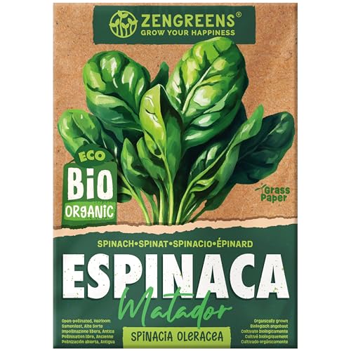 ZenGreens® - Semillas de espinacabio - verduras para cultivar fácilmente en el jardín, balcón o parterre elevado - hortalizas - matador
