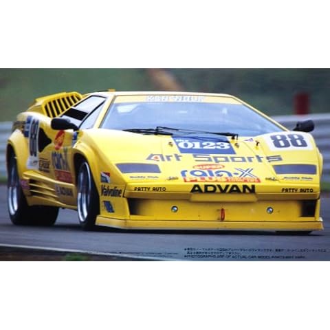 1/24 Fujimi Art Rain -X Countach Cover