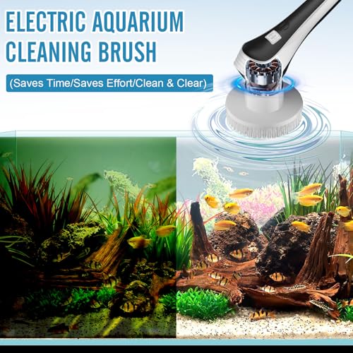 Changeur d'eau pour aquarium électrique avec brosse rotative IPX8 pour éliminer les algues