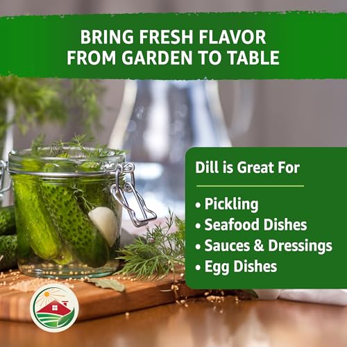 TKE Farms & Gardens - Dill Seeds for Planting Outdoors, 500 mg, 400 Heirloom Non-GMO Bouquet Dill Seeds, Includes Instructions to Plant and Grow, Perfect for Dill Pickles, Qty 1 - Thumbnail 4