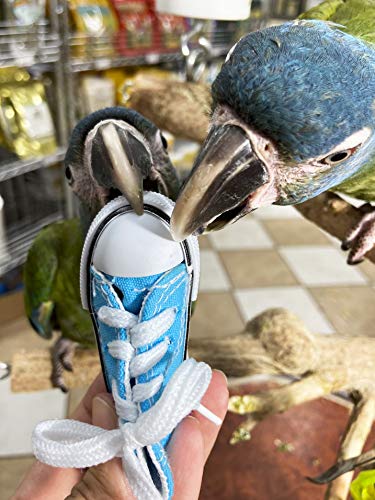 Birds LOVE 6 Pack Grommet-Free Mini Sneakers Shoe Toys for Birds Cats Ferrets Rabbits Guinea Pigs and Small Animals - Image 4