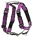 PetSafe 3 in 1 Dog Harness - No Pull Solution for Dogs - Reflective Dog Harness - Front D-Ring Clip Helps Stop Pulling - Comfortable Padded Straps - Top Handle Enhances Control - Plum - Extra Small