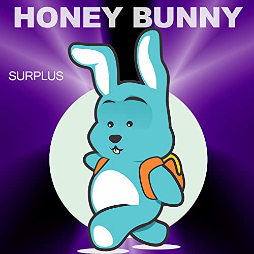  Surplus