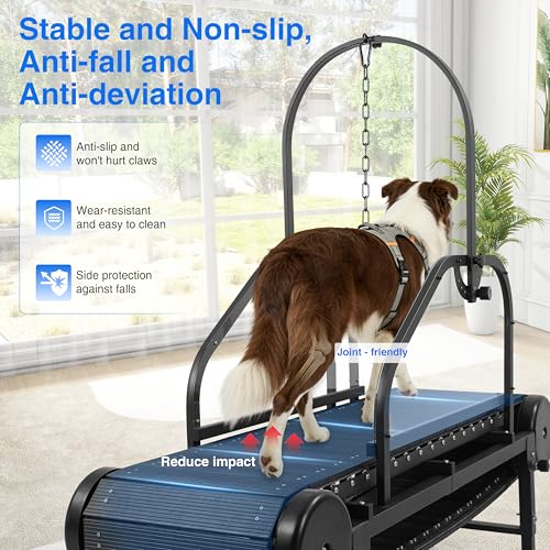 Image of Non-Motorized Dog Treadmill for Large /Medium Dogs with Pedometer, Wide Running Slatmill, Self-Powered with Brake, 5-Level Incline, Heavy Duty Slatmill Indoor Training Equipment