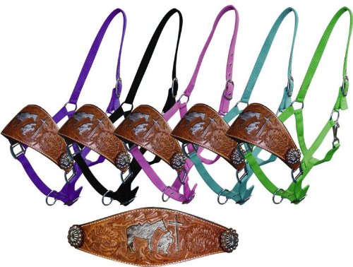 Showman Bronc Style Horse Halter w Oak Leaf Tooled Medium Oil Leather Noseband & Genuine Cowhide Cut Out Praying Cowboy (Purple)