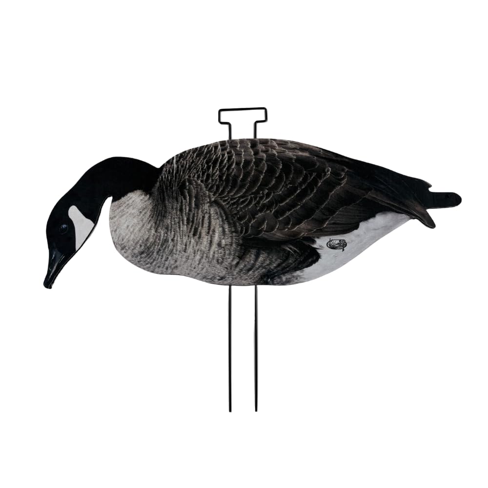 Pro-Flock Señuelos de silueta de ganso de Canadá, 12 señuelos de caza de ganso totalmente flocados con detalles realistas, acabado texturizado, 3 posturas naturales y estacas de campo