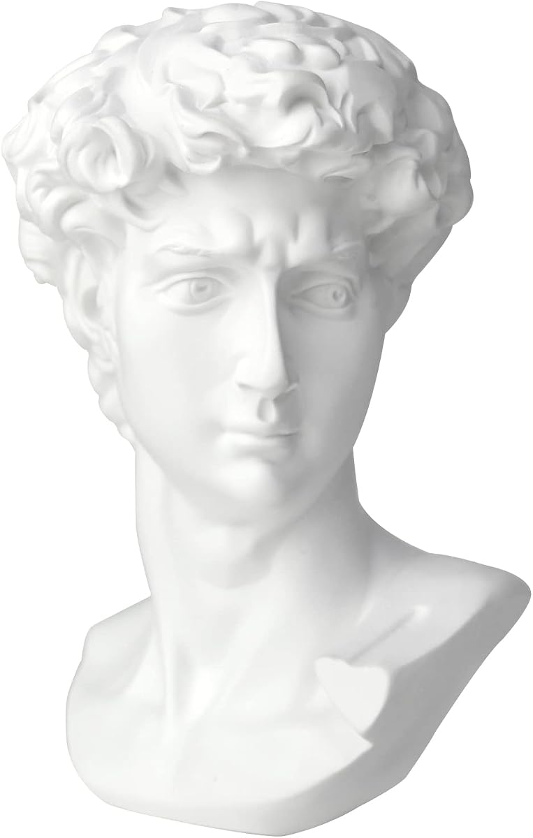 Norrclp 11in Greek Statue of David, Classic Roman Head Bust | Greek Mythology Sculpture for Home Decor Office Bookshelf Desktop Decor