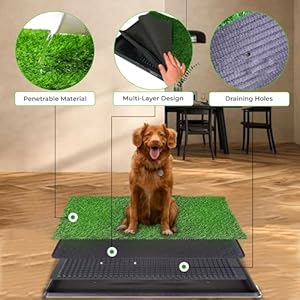 Artificial Fake Dog Grass Pad with Tray 20 x 25 Inches, 4-Layer Guard to Stop Leakage/Stink/Mess for Puppy Health, Reusable Washable Pee Pads for Dogs, Potty Training Dog Litter Box for Indoor Outdoor Artificial Fake Dog Grass Pad with Tray 20 x 25 Inches, 4-Layer Guard to Stop Leakage/Stink/Mess for Puppy Health, Reusable Washable Pee Pads for Dogs, Potty Training Dog Litter Box for Indoor Outdoor