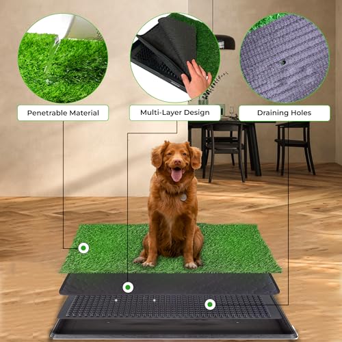 Artificial Fake Dog Grass Pad with Tray 20 x 25 Inches, 4-Layer Guard to Stop Leakage/Stink/Mess for Puppy Health, Reusable Washable Pee Pads for Dogs, Potty Training Dog Litter Box for Indoor Outdoor Artificial Fake Dog Grass Pad with Tray 20 x 25 Inches, 4-Layer Guard to Stop Leakage/Stink/Mess for Puppy Health, Reusable Washable Pee Pads for Dogs, Potty Training Dog Litter Box for Indoor Outdoor