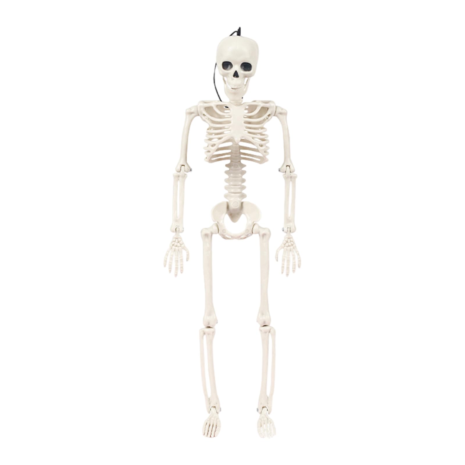 Mekalero Realistic Skeleton Figure Decoration for Halloween Decoration Entrance Door Yard Porch Garden Indoor and Outdoor Use Standing Hanging Framework Deck