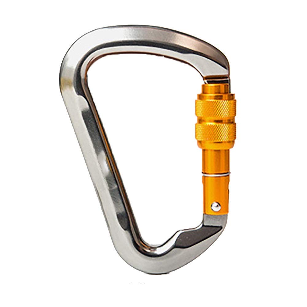Moschettone con Anello a D, Clip con Gancio a Vite, moschettone, Confezione da 2, 25 KN, Resistente per Campeggio, Escursionismo, Palestra all'aperto, ECC. Super Durevole (Argento, 112 x 75 mm)