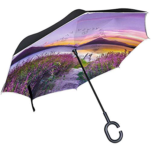 Umkehrschirm Clearance