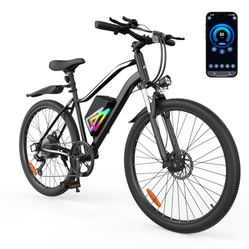 Oslich 750W Electric Commuter Bike
