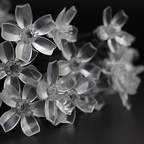 HueLiv Catene Luminose Solare 7m 50 LED, luci