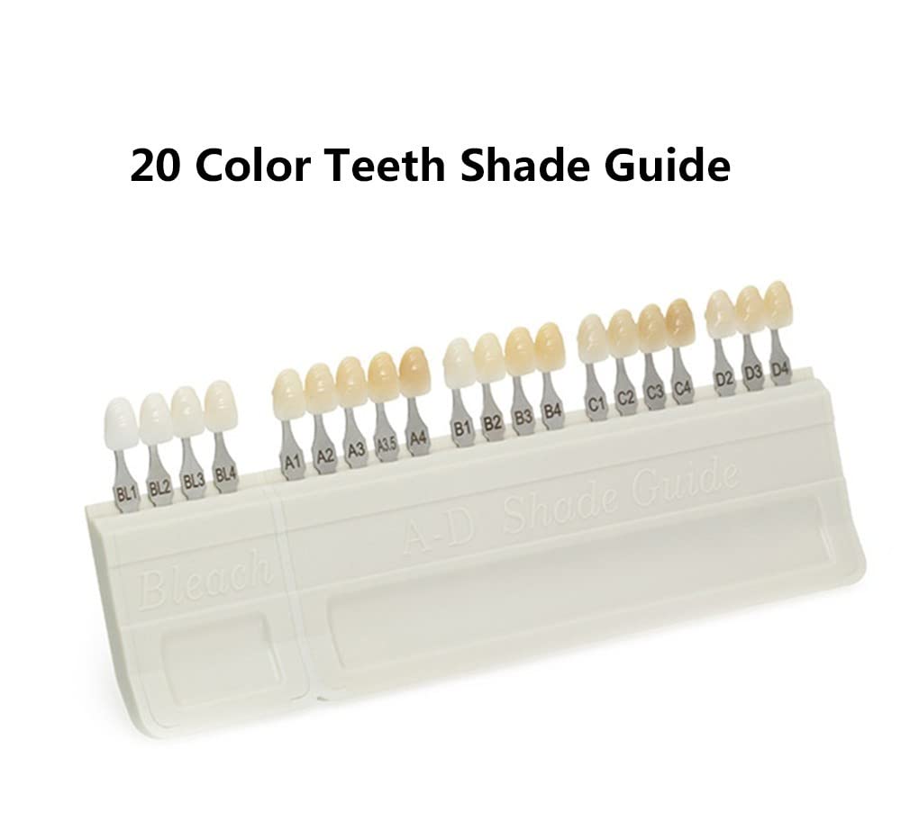 Porcelana AD Guida Colori Denti Dentali 20 Colori