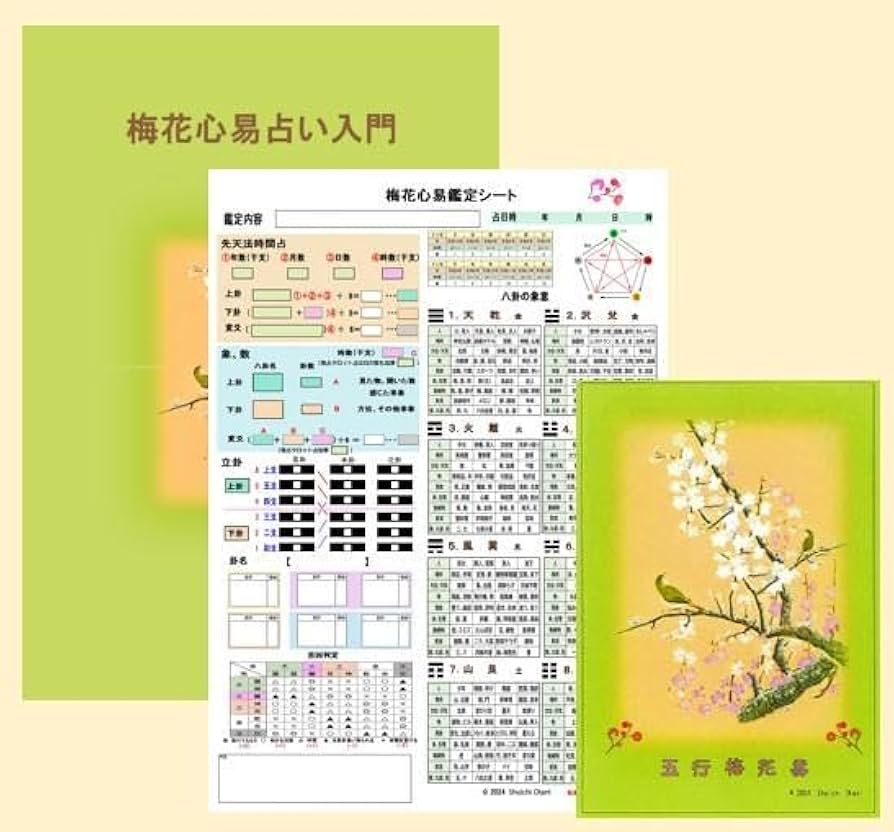 【人気再出品！】梅花心易入門＆五行梅花易カードセット Amazon.co.jp: 梅花心易入門 五行梅花易カードセット : おもちゃ