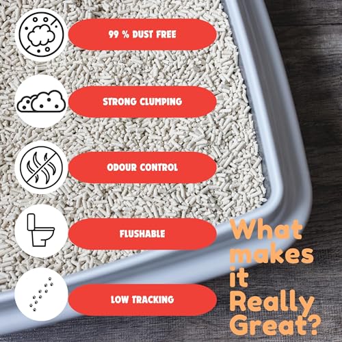Image of Pet Tofu Litter 6L Cat Litter Dust-Free Clumping Cat Litter Quickly Absorb Cat OurdoorCat Toilet Can Flush Into The Toilet (Peach) (1)
