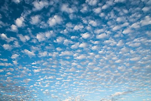 Impression photographique Norbert Hohn ciel nuageux Shark Bay