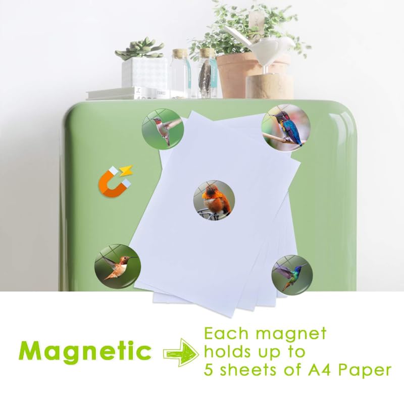 OOTSR Decoratieve Koelkastmagneten, Koelkastmagneten Met De Boom Des Levens Kantoormagneten Koelkastmagneten Voor Whiteboards Landkaarten Huisdecoratie Knutselen Klaslokaal 12 Stuks