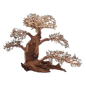 XL Bonsai boom nr. 12014 wortel hout aquarium deco aquascaping bonsai boom decoratie landschap mos natuur