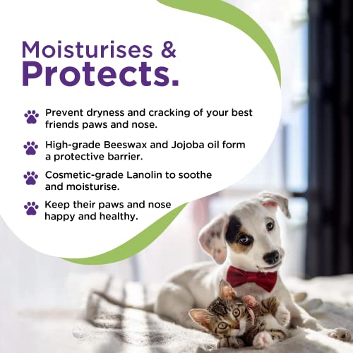 RenaSan Paw & Nose Balm for Dogs and Cats - Natural Moisturising Protection for Dry Paws and Noses Helps Soothe and Condition (50ml) - Image 4