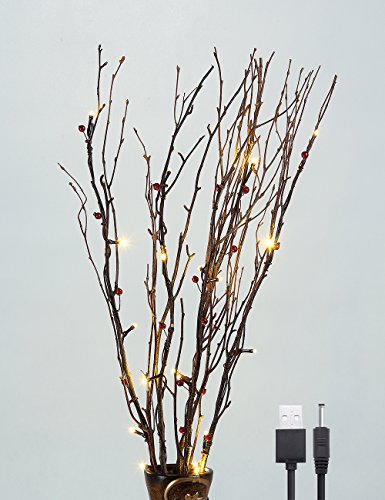 Lightshare 30Inch 20LED Natural Birch Berry Branch Light, Red Berries, Warm White Light, USB Plug-in and Battery Powered for Home Decoration.