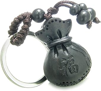 Keychains for Women and Men - Good Luck Charms - Cool Car and Key Accessories - Feng Shui Coins Money Bag Charms