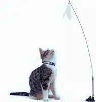 Brinquedo para Gato Varinha Interativo Com Ventosa