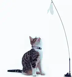 Brinquedo para Gato Varinha Interativo Com Ventosa