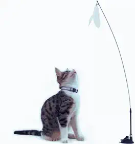 Brinquedo para Gato Varinha Interativo Com Ventosa
