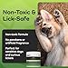 AROMAPET Therapeutic Paw Butter for Dogs - Non-Toxic, Lick-Safe Nose Balm for Dogs + Dog Paw Balm for Dry Cracked Paws - Moisturizing Paw Wax with Coconut Oil for Dogs, Shea Butter, & Vitamin E- 50mL.