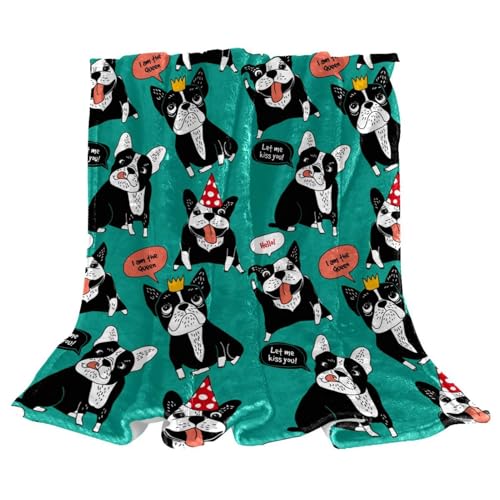 Couverture bouledogue noir plaid de canapé chaud pour salon et bureau