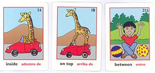 Language Booster Spatial Concept Picture Cards: Illustrated Cards for Language Development