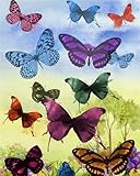 Photo Gallery lituor dipingere con i numeri adulti,farfalle colorate pittura di numeri a olio fai da te kit di pittura acrilica per adulti bambini,con pennelli e colori acrilici per casa decor con telaio,55x70cm Photo Gallery lituor dipingere con i numeri adulti,farfalle colorate pittura di numeri a olio fai da te kit di pittura acrilica per adulti bambini,con pennelli e colori acrilici per casa decor con telaio,55x70cm