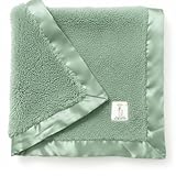 Little Giraffe Chenille Baby Blanket &ndash; 29x35&rdquo; Soft Chenille with Satin Trim, Sage | Ultra-Soft,...