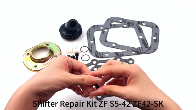 Amazon.com: Shifter Repair Kit ZF S5-42 ZF42-SK Compatible with