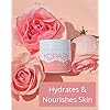 Kopari Peptide Glow Hydrating Moisturizer Face Cream | Hyaluronic Acid All Natural Vegan Coconut Lightweight Cream for Everday Use For Smooth Skin, Combats Fine Lines and Wrinkles | Cruelty Free 1.7oz