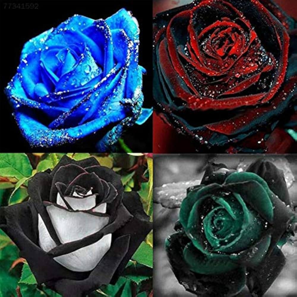 51dO2OKYHzL._AC_UF1000,