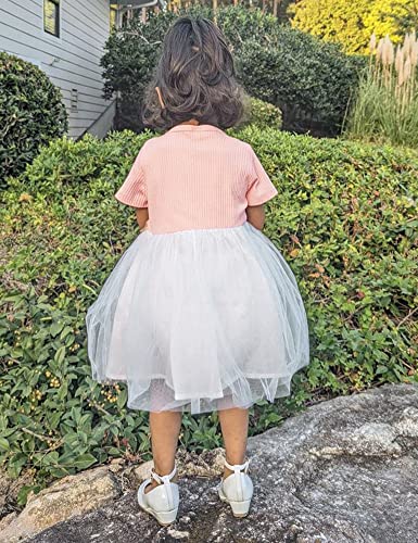 Agqt Baby Girls Baptism Dress 3D Flower Lace Birthday Wedding Short Sleeve Vintage Summer Christening Knit Dress With Headband Pink Size 12-18 Months #TOP5