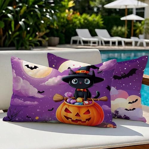 �N�b�V�����J�o�[ 40x70cm 2���Z�b�g, �h�� ���� ���O �k�� ������� ���l���� �������J�o�[, ���ʈ�� �B���t�@�X�i�[�t �������J�o�[, �� �뉀 �x�����_ �L�����v �֎q �\�t�@ �ԗp, ���� �k����, �� �L, @125