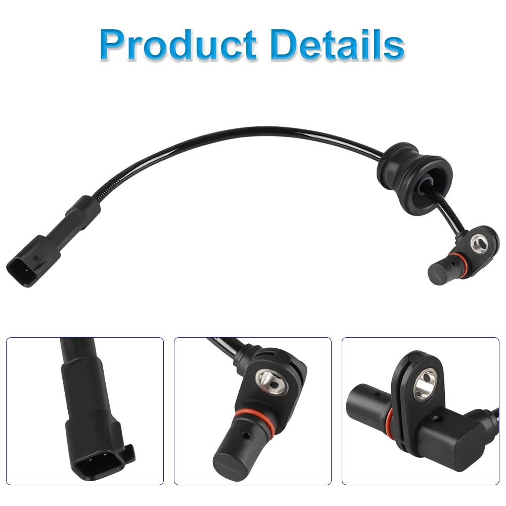 https://m.media-amazon.com/images/I/51dO4yg+o5L.jpg