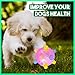 2 Jumping Activation Ball for Dogs Flashing Ball Light, Colorful 12cm Spiky Squeaky Light up Dog Ball with Music, Active Rolling Ball for Dogs, Vibrating Dog Ball Toy, Interactive Moving Dog Ball