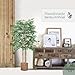 Bambú Artificial con Cañas Naturales, Ideal para Decoración de hogar, Árbol Artificial,...
